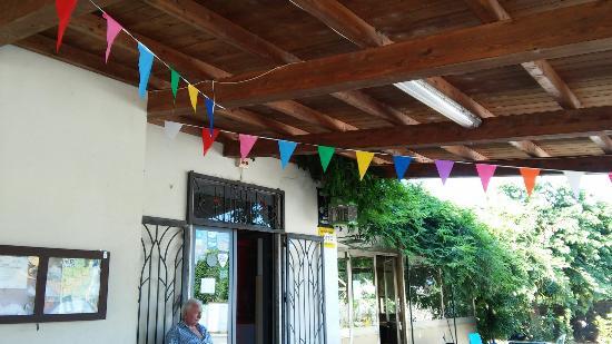 Il Fringuello