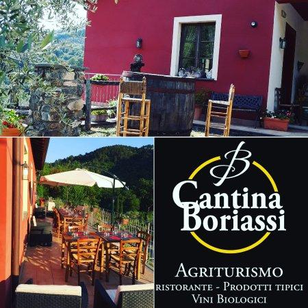 Cantina Boriassi
