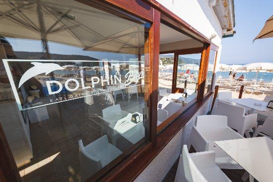 Dolphin Bay