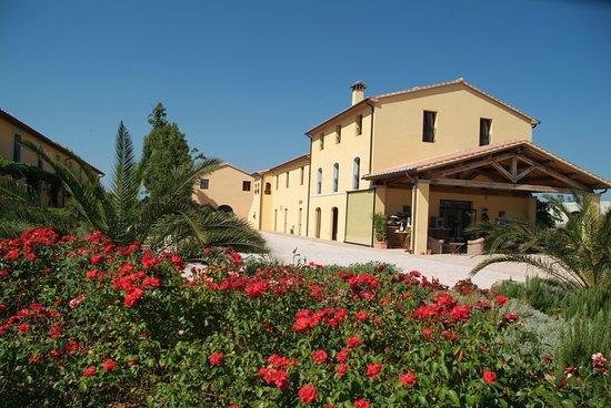 Ristorante L'Olivo