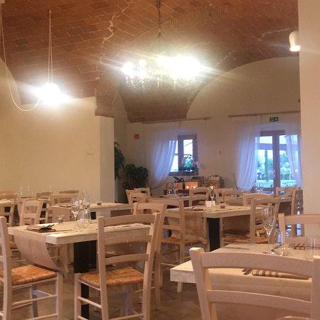 Fattoria L'Olmetto
