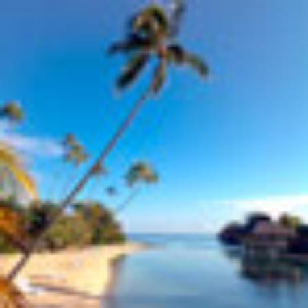 Gelateria Fior Fiore