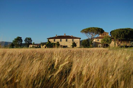 Cortona Resort