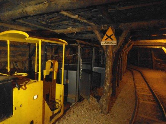 Mineral Park Museum
