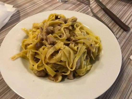 Il Bosco