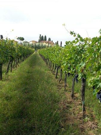 La Locanda Cuccuini