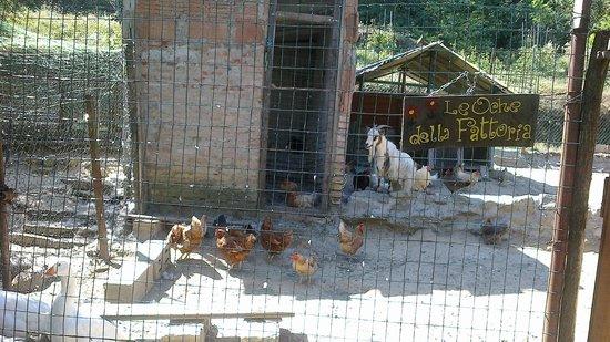 Agriturismo Gli Arancini