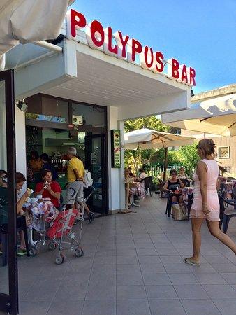 Bar Gelateria Polypus