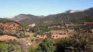 Colline Metallifere