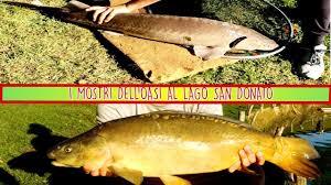il Lago San Donato