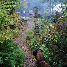 Dream Woods
