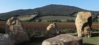 la Tenuta Monteti