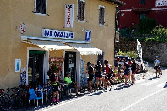 Bar Cavallino