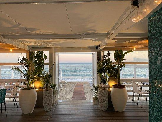 Ammare