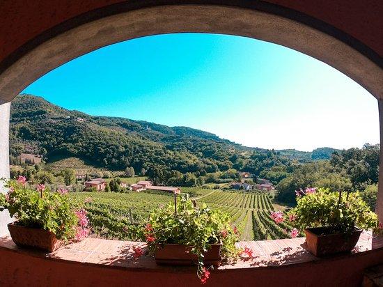 Tenuta Adamo Winery