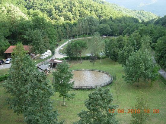 Il Laghetto Del Ponte Sospeso