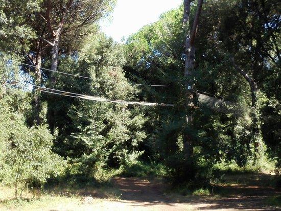 Il Pineto Parco Avventura
