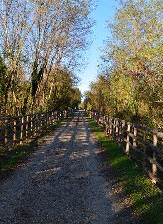 Pista Cicloturistica Colle-Poggibonsi