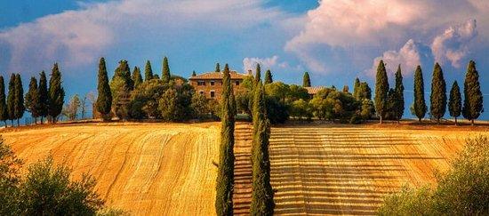 Belitaly Tours & Limo