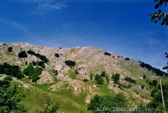 Nona - Matanna da Stazzema