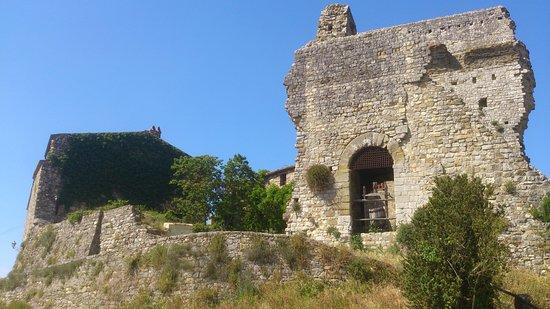 Giulio Bartolini - Tourist Guide