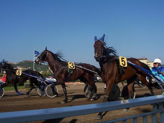 Ippodromo