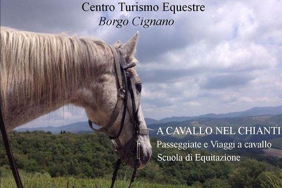 Centro di Turismo Equestre Borgo Cignano