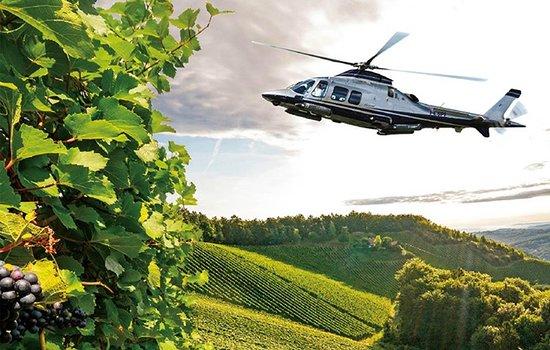 Fly To Wine