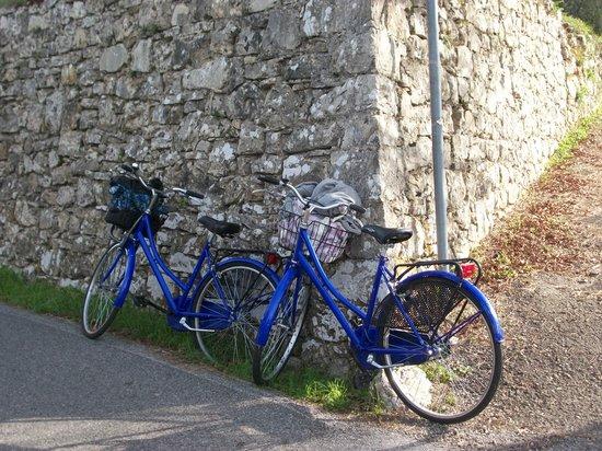 Bicycles in Florence