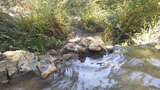 Complesso Termale etrusco-romano di Sasso Pisano