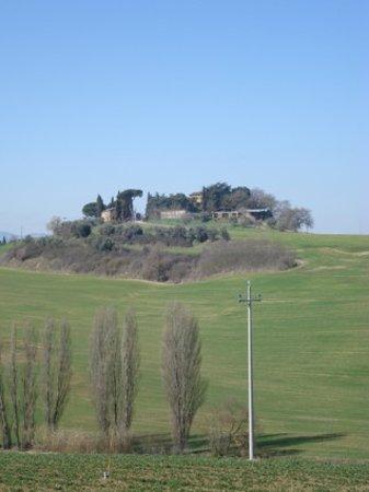Laviano