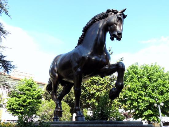 Cavallo