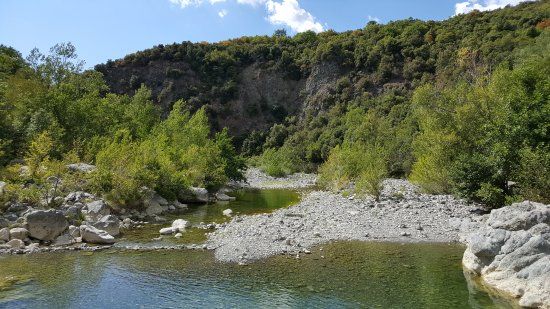Riserva naturale Foresta di Berignone