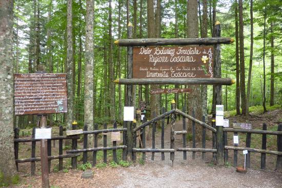Orto Botanico Forestale Abetone