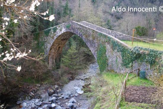 Ponte dei Molini