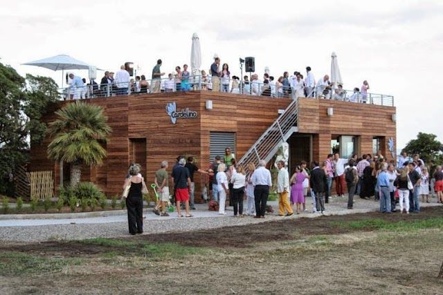 Il Cardellino