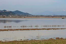 Lago di Bientina
