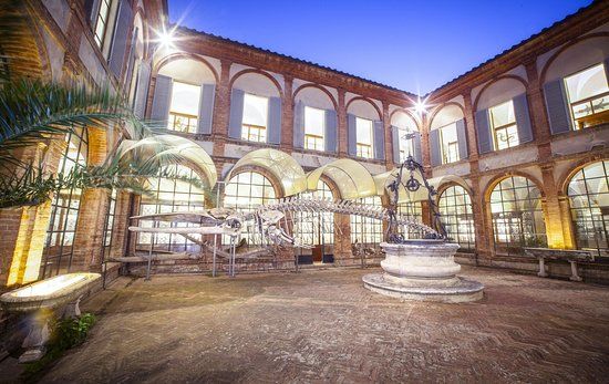 il Museo di storia naturale dell'Accademia dei Fisiocritici