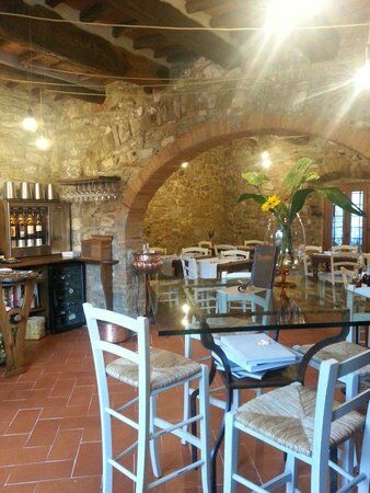 lavinosteria