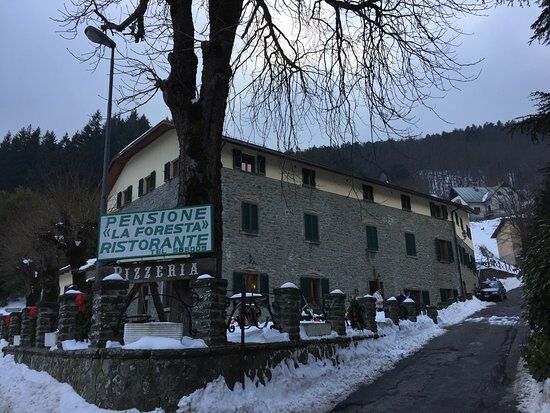 Ristorante Pizzeria La Foresta