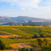 Terra di Siena